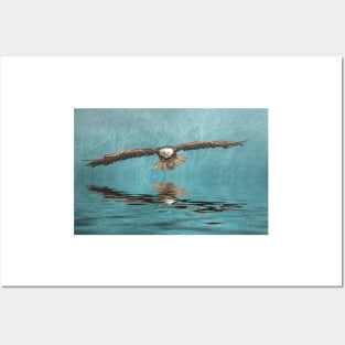 Bald Eagle on Misty Lake Posters and Art